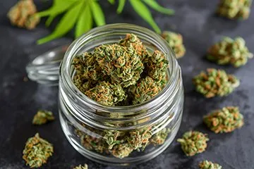 Cannabis Dispensary